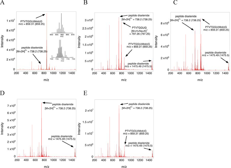 Figure 2: