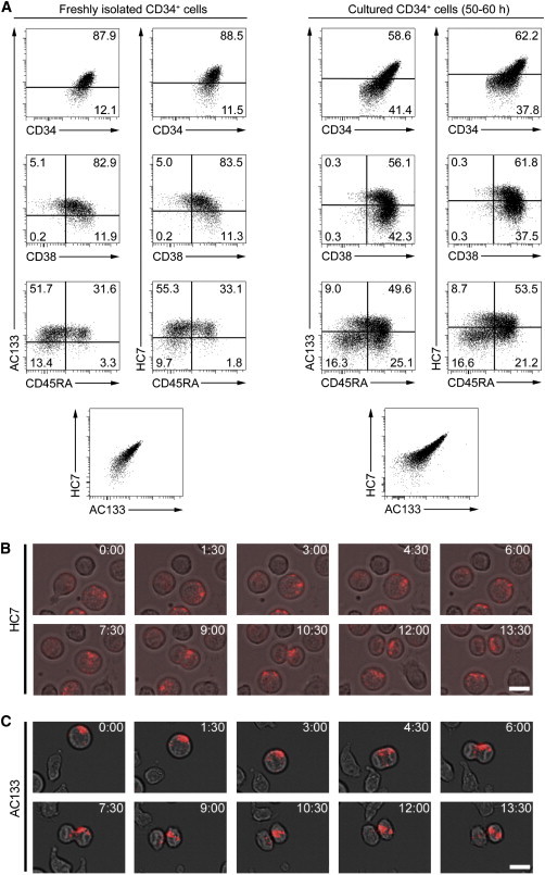 Figure 2