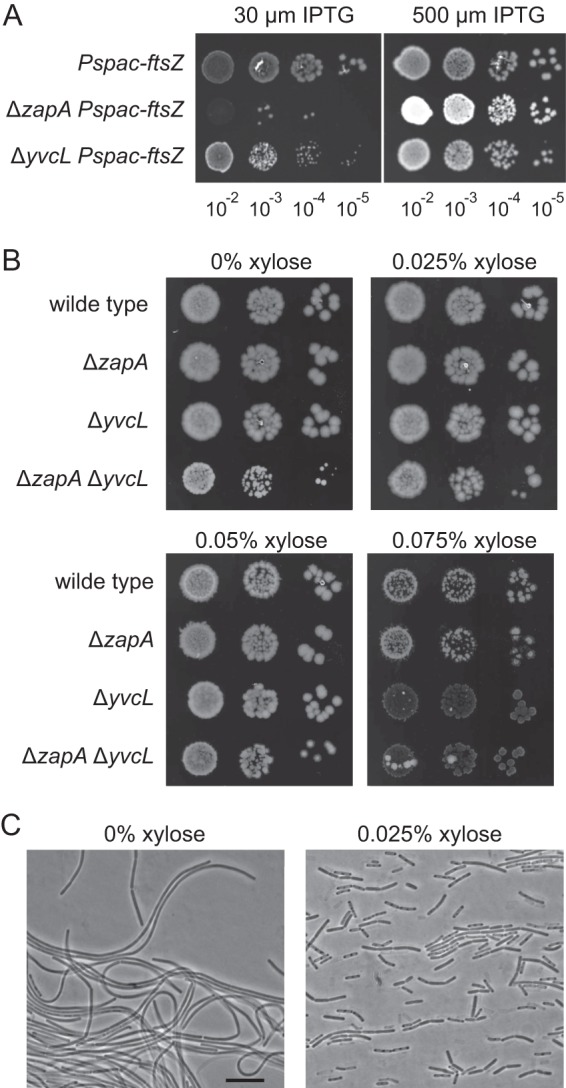 Fig 4