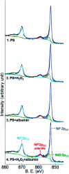 Fig. 11