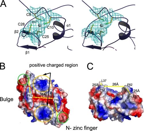 FIG. 2.