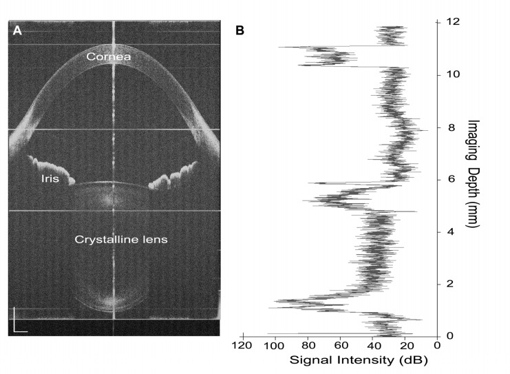 Fig. 9