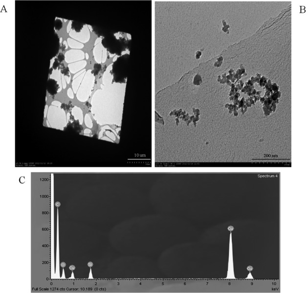 Fig. 5.