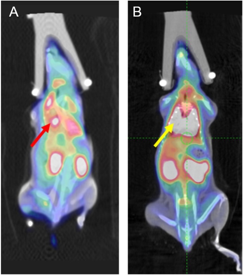 Fig 4