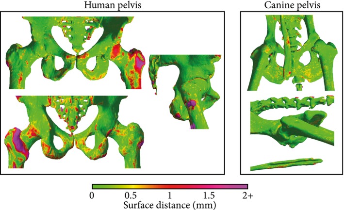 Figure 7