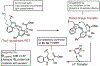 Scheme 6