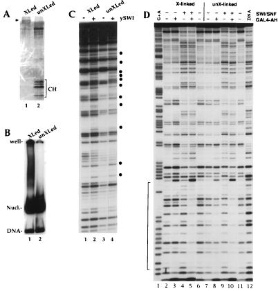 FIG. 6