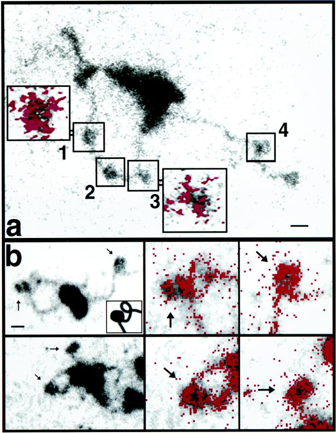 FIG. 4