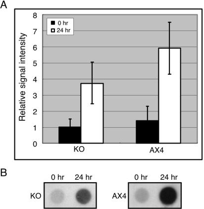 FIG. 6.