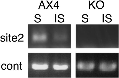 FIG. 7.