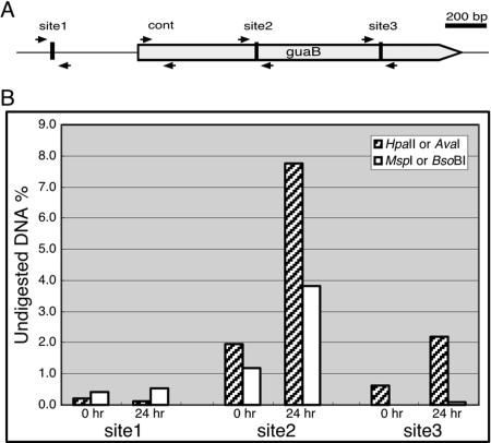 FIG. 4.