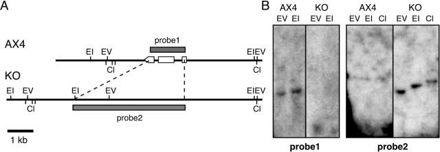 FIG. 5.