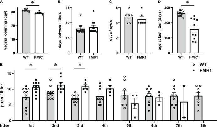 Figure 1