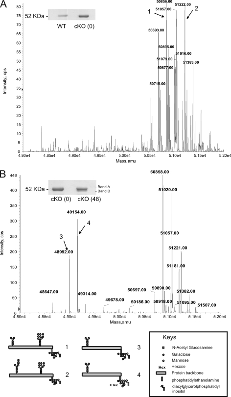 Fig. 9.