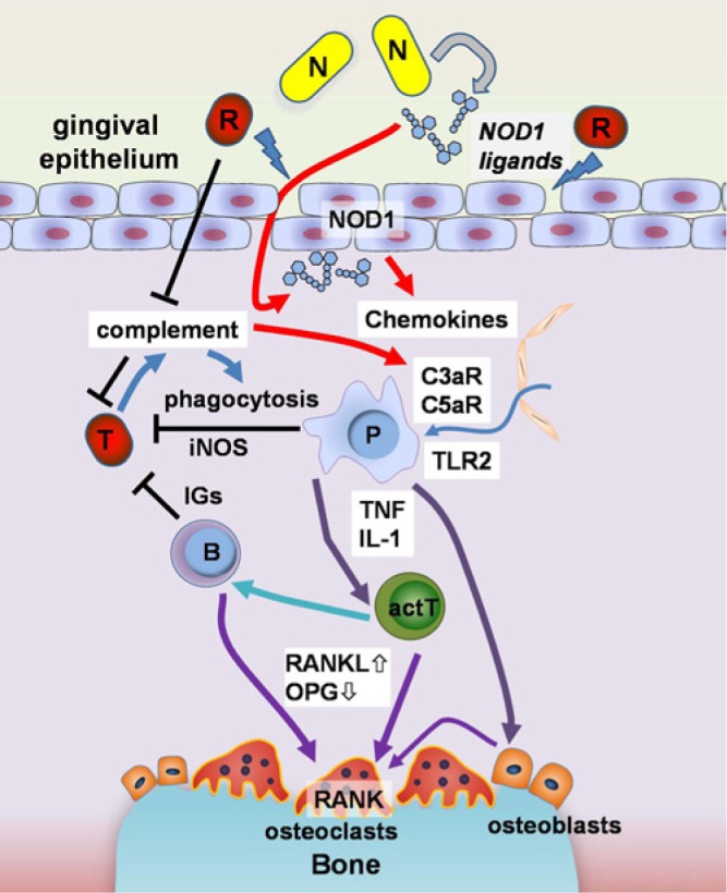 Figure 3.