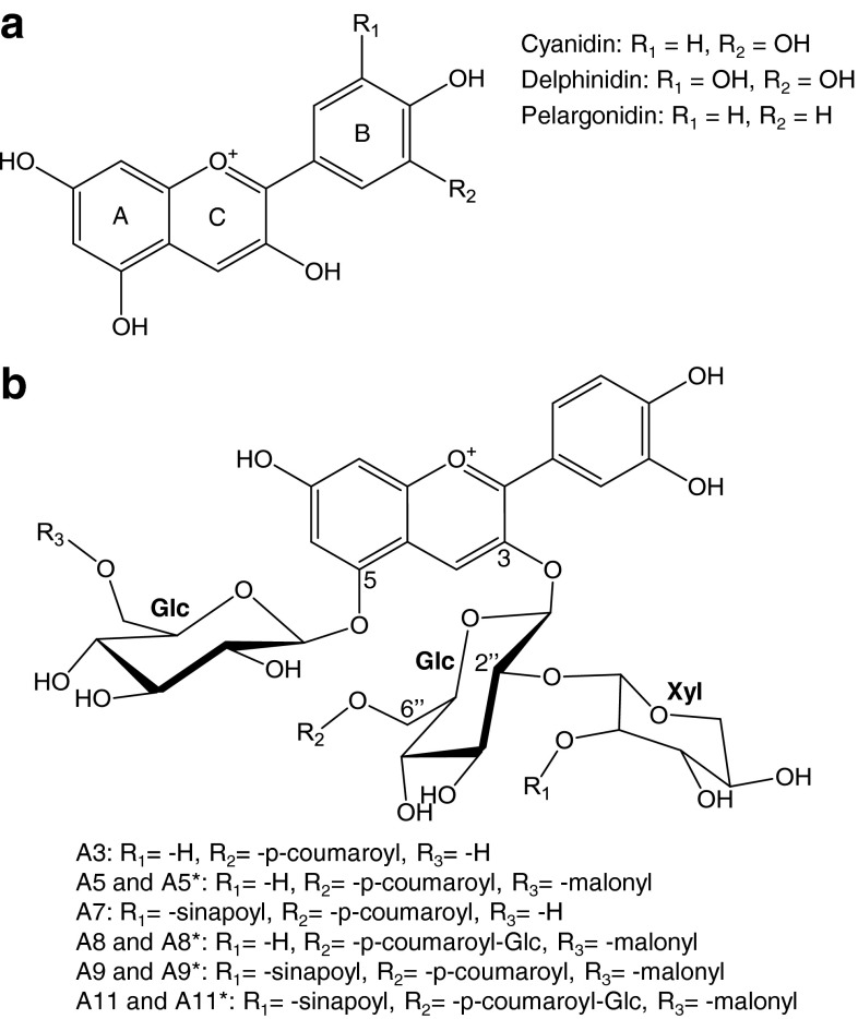 Fig. 1