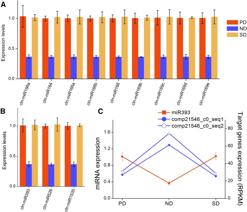 Figure 10.