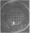 360