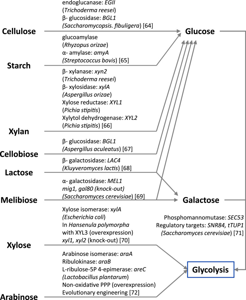 Fig. 3