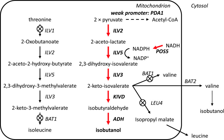 Fig. 8