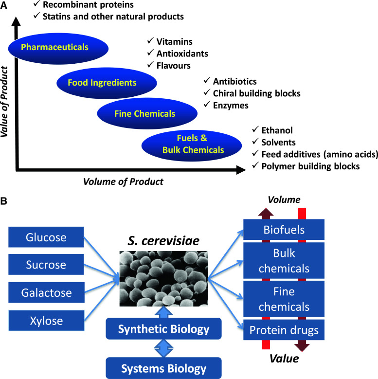 Fig. 2