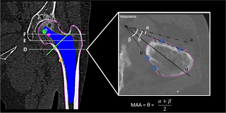 Fig. 1