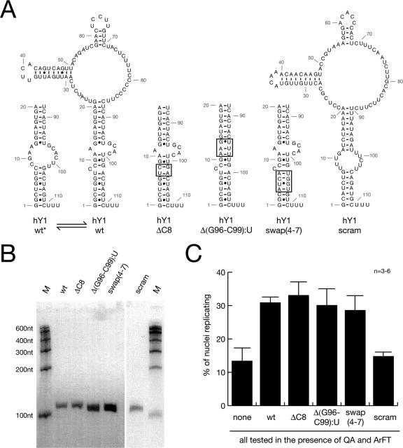 FIG. 7.