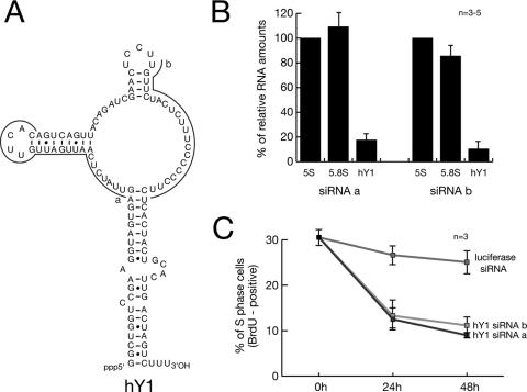 FIG. 8.