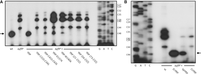 Figure 6.