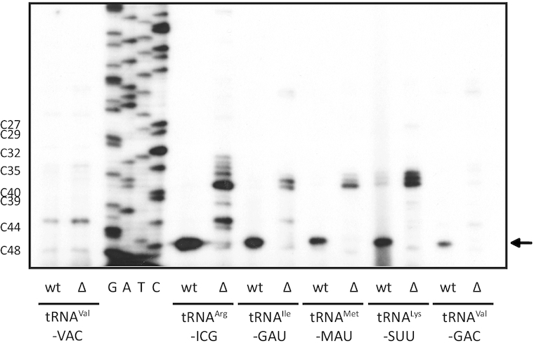 Figure 4.