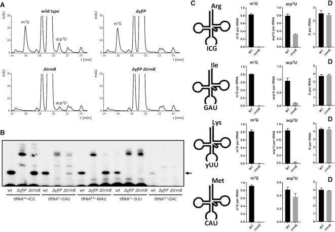 Figure 7.