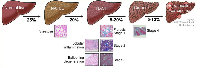 Figure 1: