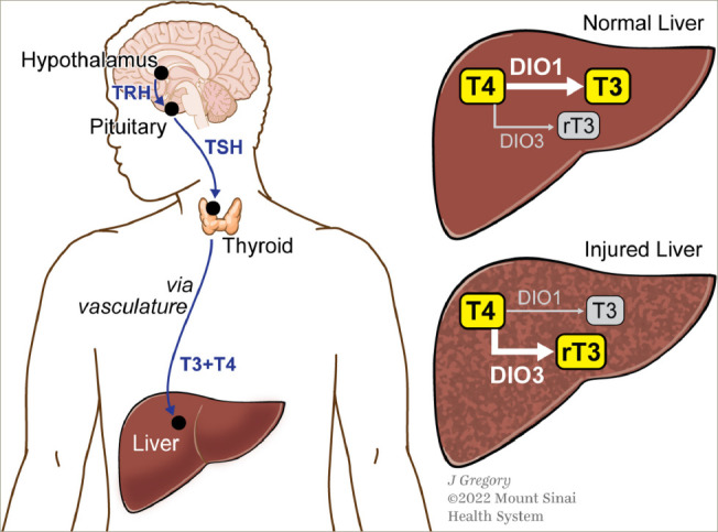 Figure 2: