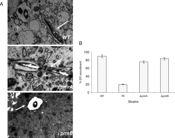 FIG. 8.