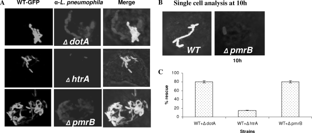 FIG. 5.