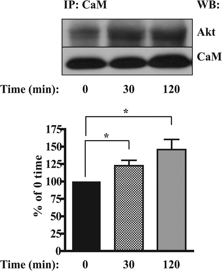 FIGURE 5.