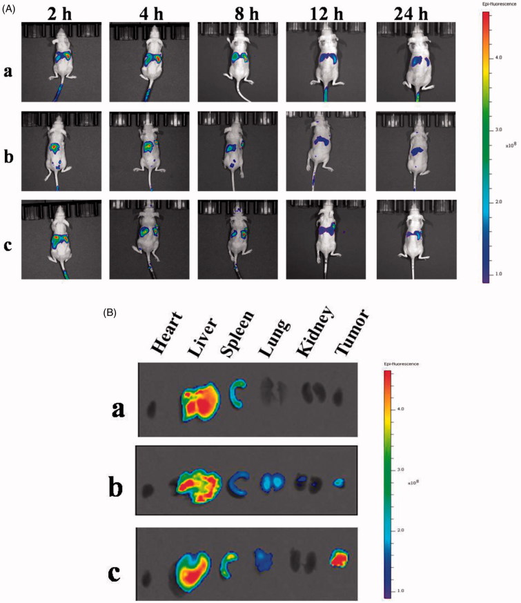 Figure 11.