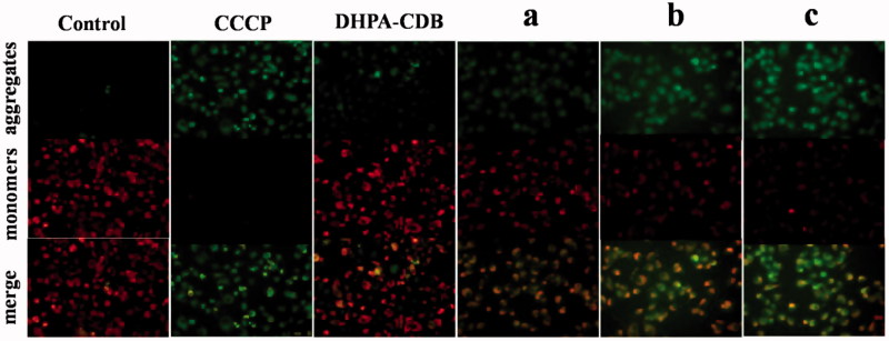 Figure 10.