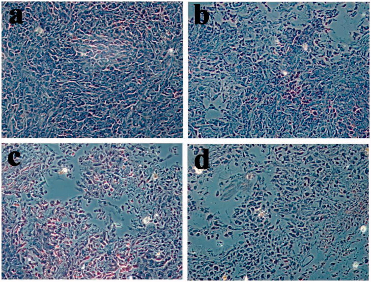 Figure 13.