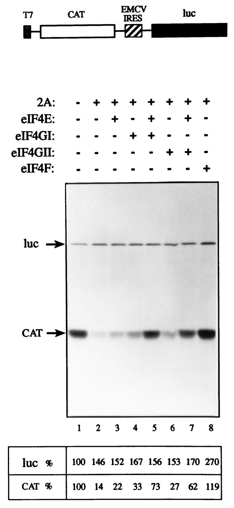 FIG. 8