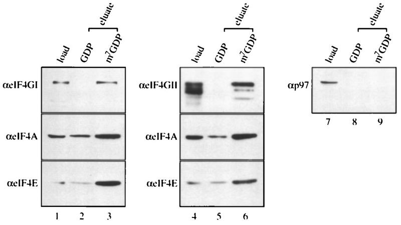 FIG. 7