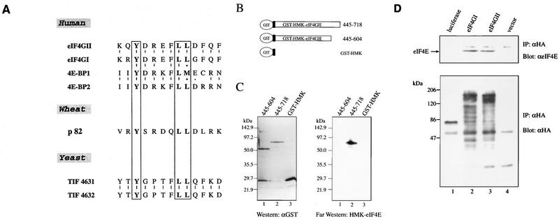 FIG. 5