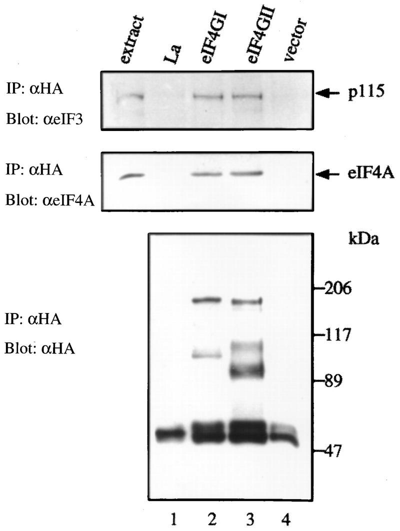 FIG. 6