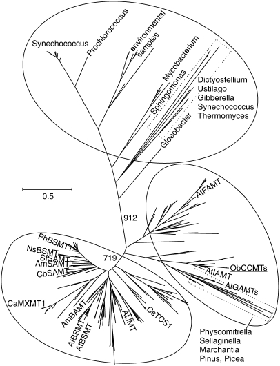 Figure 10.