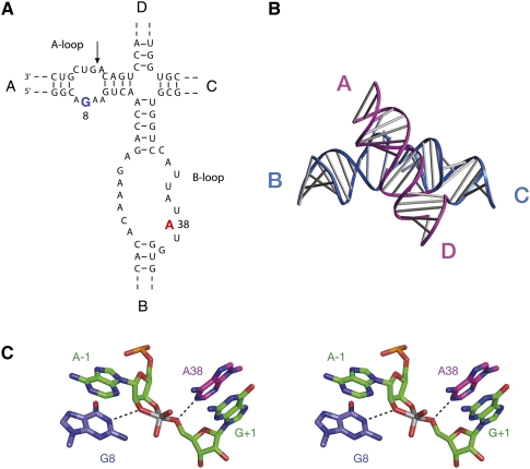 FIGURE 2.