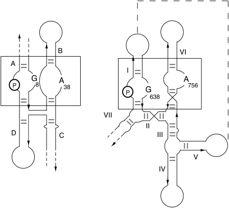 FIGURE 4.