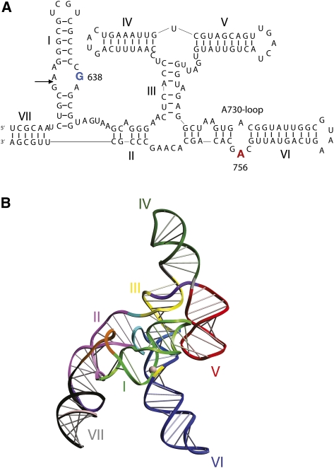 FIGURE 3.