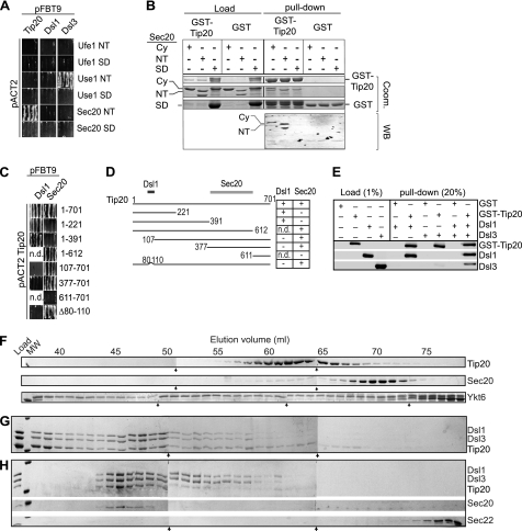 FIGURE 3.