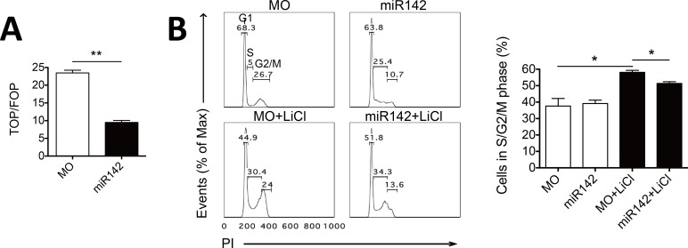 Fig 5