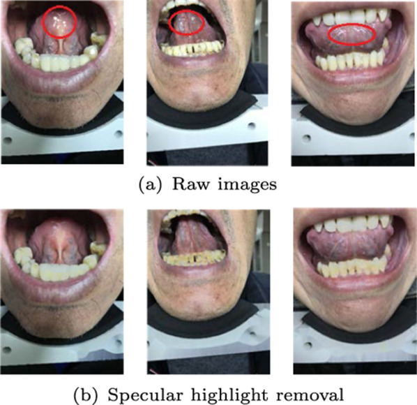 Fig. 10